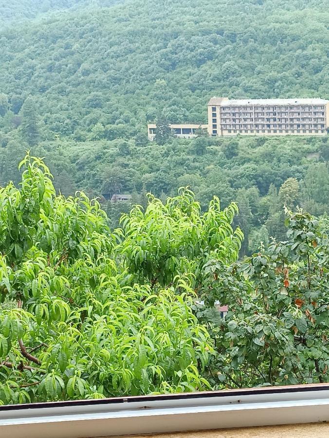 Green Garden Ijevan Esterno foto